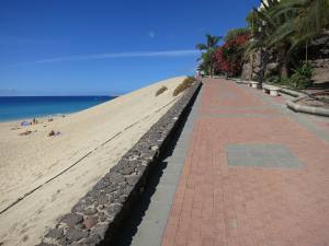 Fuerteventura Jandia Playa 2012 IMG_1852