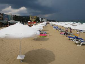 Holidays in Golden Sands, Bulgaria 2014 IMG_0690