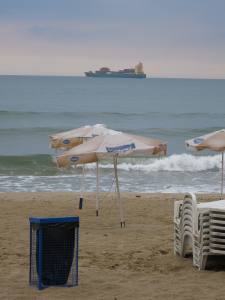 Holidays in Golden Sands, Bulgaria 2014 IMG_0730