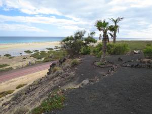 Fuerteventura Kanarische Inseln 2014 IMG_1494