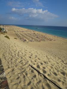 Fuerteventura Kanarische Inseln 2014 IMG_1513