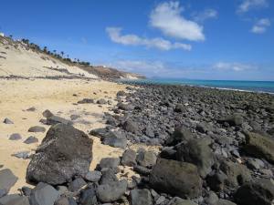 Fuerteventura Kanarische Inseln 2014 IMG_1558