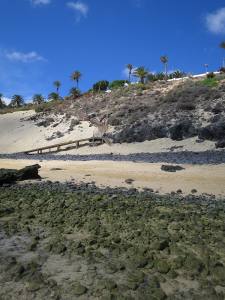 Fuerteventura Kanarische Inseln 2014 IMG_1560