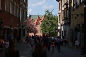 Städtereise nach Warschau in Polen 2018 IMG_7046
