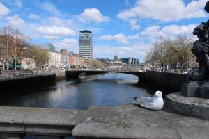 Städtereise nach Dublin in Irland 2019 IMG_7816