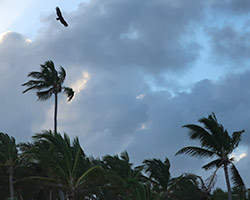 Fotos von den Herbstferien in Punta Cana 2024