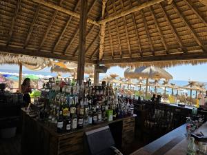 Golden Sands Bulgaria 2025 20250713_110747