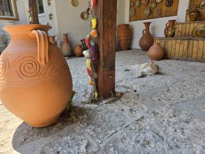 Golden Sands Bulgaria 2025 20250722_122343