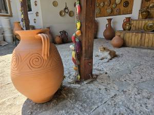 Golden Sands Bulgaria 2025 20250722_122352