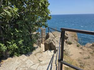 Golden Sands Bulgaria 2025 20250722_133901