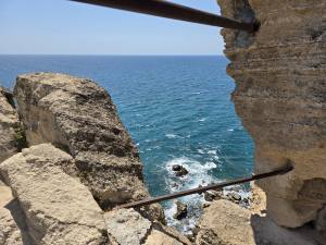 Golden Sands Bulgaria 2025 20250722_134006