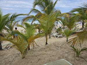 Punta Cana - Dominican Republic - 2025 20251027_133039