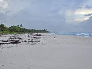 Punta Cana - Dominican Republic - 2025 20251028_173949