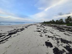 Punta Cana - Dominican Republic - 2025 20251028_174332