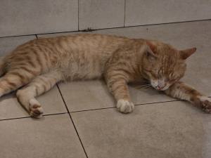 Punta Cana - Dominican Republic - 2025 20251029_193905