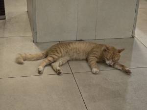 Punta Cana - Dominican Republic - 2025 20251029_193913