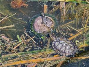 Punta Cana - Dominican Republic - 2025 20251030_103247