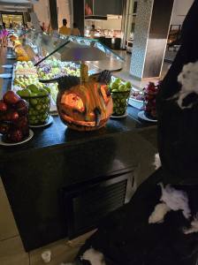 Punta Cana - Dominican Republic - 2025 20251031_185528