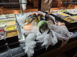 Punta Cana - Dominican Republic - 2025 20251031_185830