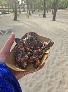 Punta Cana - Dominican Republic - 2025 20251101_153423