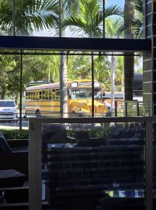 Punta Cana - Dominican Republic - 2025 20251103_150138