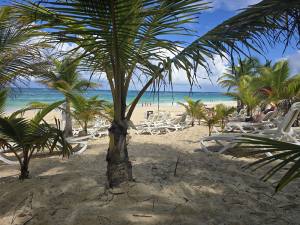 Punta Cana - Dominican Republic - 2025 20251105_131222