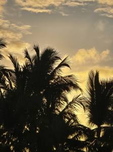 Punta Cana - Dominican Republic - 2025 20251105_174219