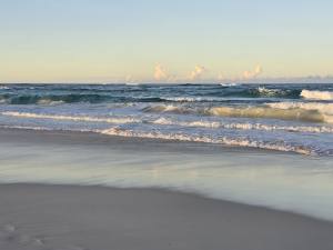 Punta Cana - Dominican Republic - 2025 20251106_173029