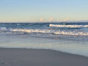 Punta Cana - Dominican Republic - 2025 20251106_173033