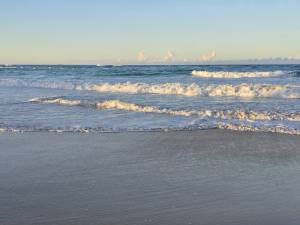 Punta Cana - Dominican Republic - 2025 20251106_173058