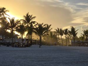 Punta Cana - Dominican Republic - 2025 20251106_173339