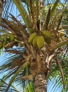 Punta Cana - Dominican Republic - 2025 20251108_130439