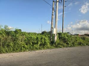 Punta Cana - Dominican Republic - 2025 20251108_162413