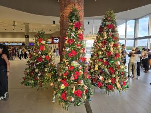 Punta Cana - Dominican Republic - 2025 20251108_173952