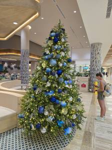 Punta Cana - Dominican Republic - 2025 20251108_180830